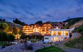 Wellnesshotel Ludinmühle
